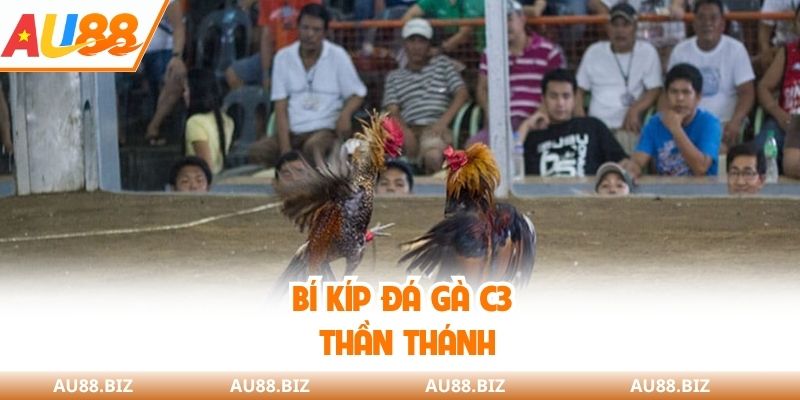 Bí kíp đá gà C3 thần thánh