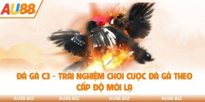đá gà C3